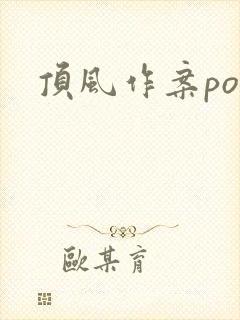顶风作案po封面
