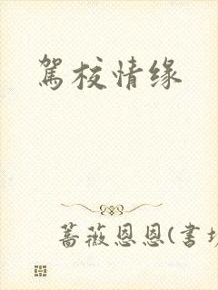 驾校情缘