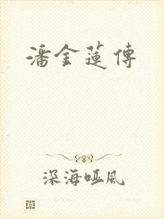 潘金莲传封面