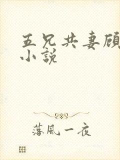 五兄共妻顾心儿小说
