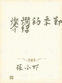 灿烂的季节剧情介绍
