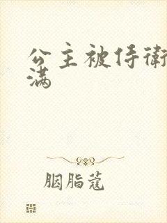 公主被侍卫填的满