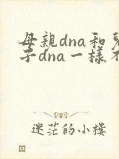 母亲dna和儿子dna一样不