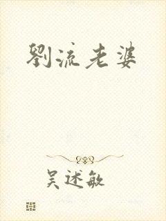 刘流老婆