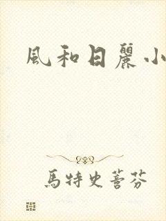 风和日丽小说