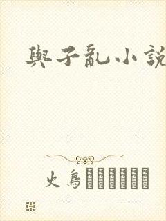 与子乱小说