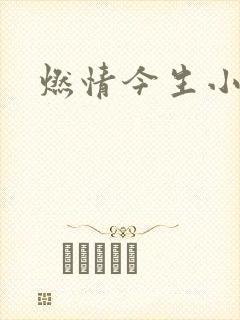 燃情今生小说