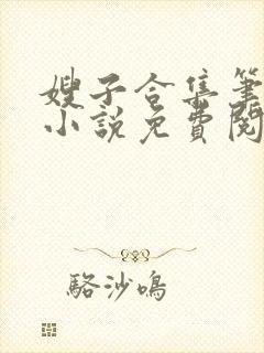 嫂子合集笔趣阁小说免费阅读