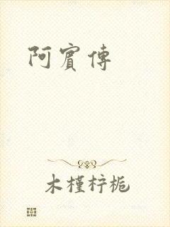 阿宾传