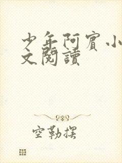 少年阿宾小说全文阅读封面