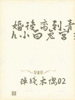 婚后脔到青梅哭h小白兔宫交h