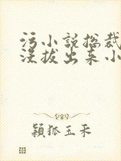 污小说总裁整夜没拔出来小说在线阅读封面