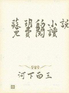 苏玥的小说全文免费阅读