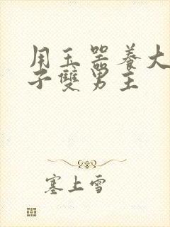 用玉器养大的皇子双男主