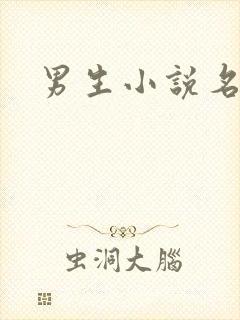 男生小说名字