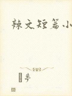 辣文短篇小说