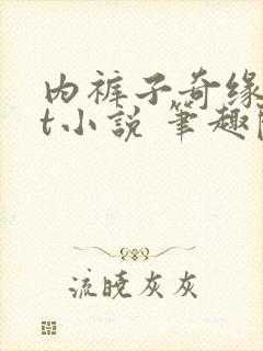 内裤子奇缘txt小说 笔趣阁