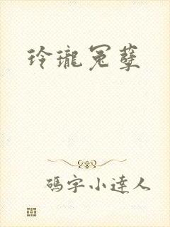 玲珑冤孽