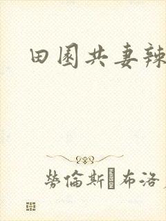 田园共妻辣