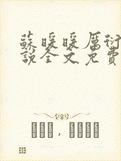 苏暖暖厉衍琛小说全文免费阅读封面