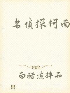 名侦探柯南h
