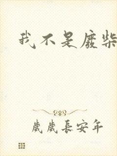 我不是废柴