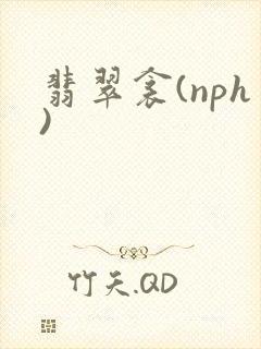 翡翠衾(nph)