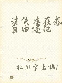 消失存在感消失自由侵犯