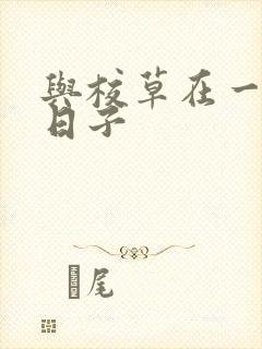 与校草在一起的日子