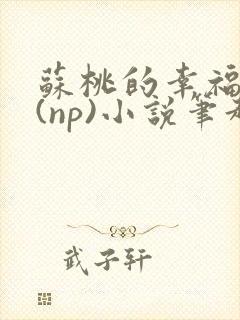 苏桃的幸福生活(np)小说笔趣阁