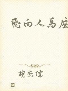 飞向人马座