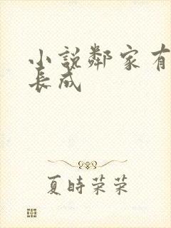 小说邻家有女初长成封面