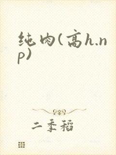 纯肉(高h.np)
