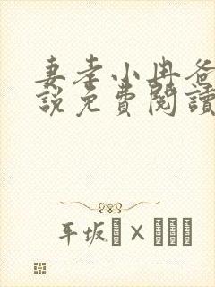 妻孝小冉爸爸小说免费阅读封面