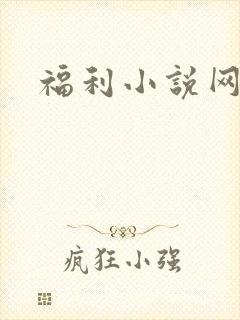 福利小说网