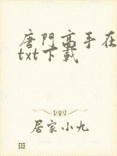 唐门高手在异世txt下载