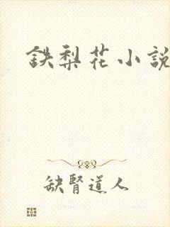 铁梨花小说封面