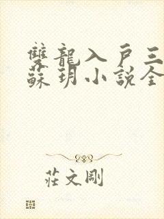双龙入户三人行苏玥小说全文阅读封面