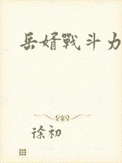 岳婿战斗力