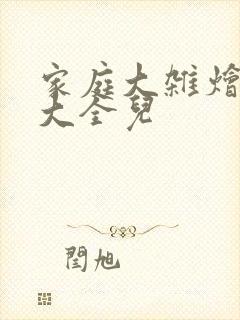 家庭大杂烩小说大全儿封面