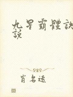 九星霸体诀 小说