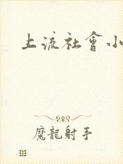 上流社会小说