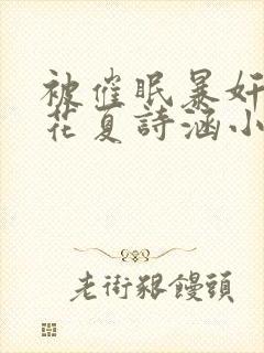 被催眠暴奸的校花夏诗涵小说封面