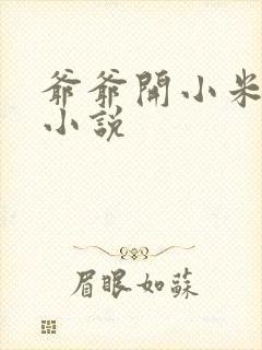 爷爷开小米的包小说