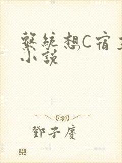 系统想C宿主的小说