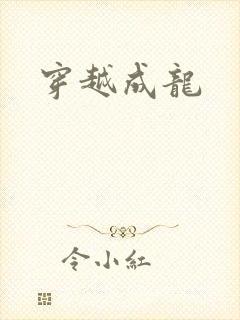 穿越成龙