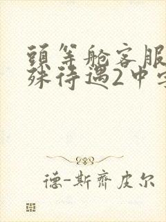 头等舱客服的特殊待遇2中字