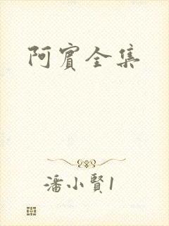 阿宾全集