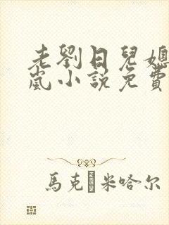 老刘日儿媳妇张岚小说免费阅读