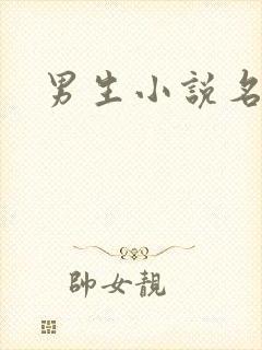男生小说名字